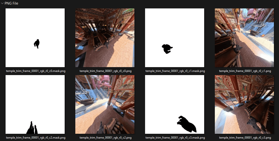 Extracted frames and masks