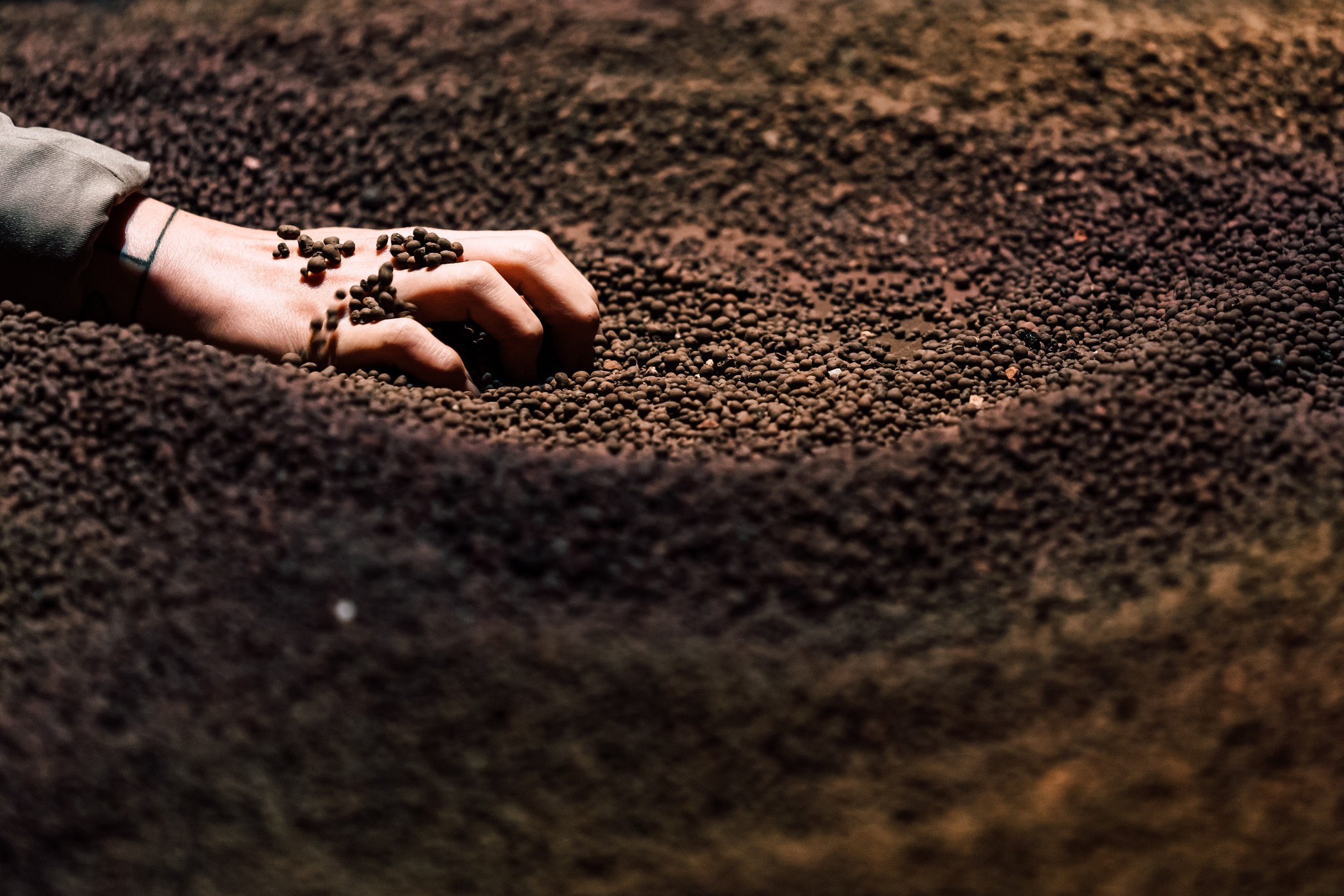 Hand touching soil