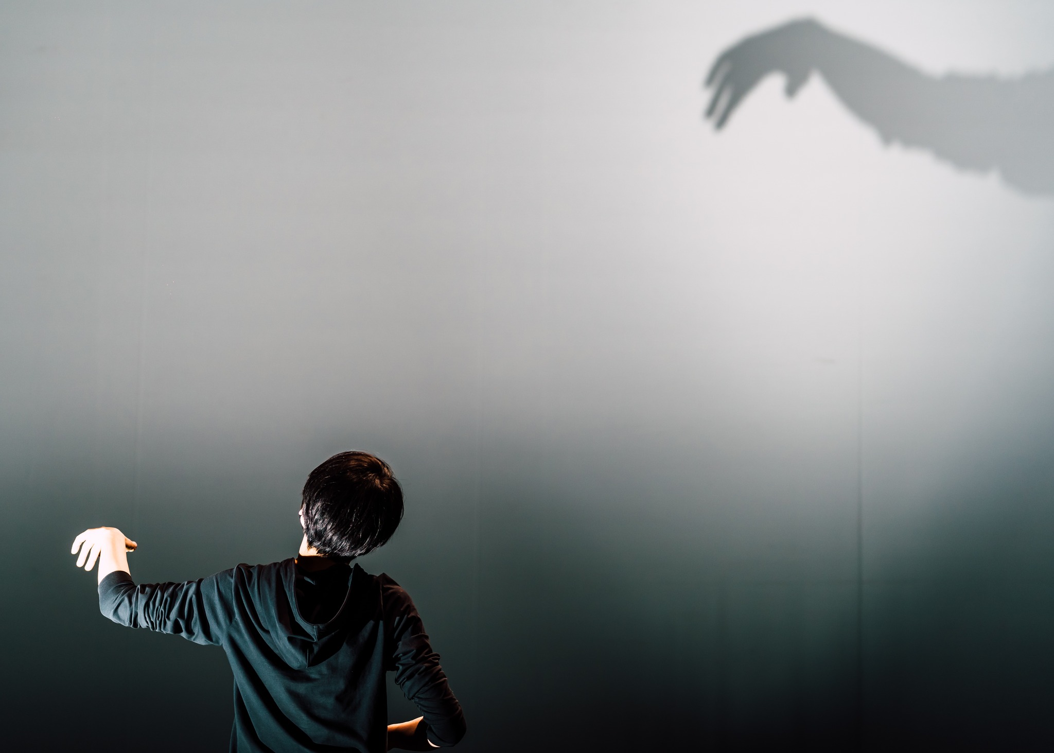 Performer reaching toward shadow hand