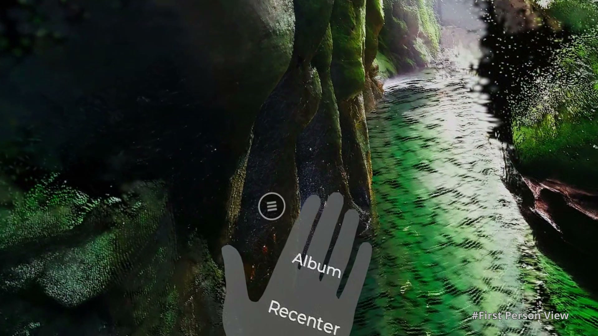 Palm menu in river gorge