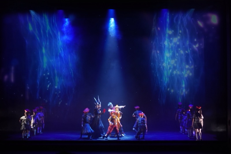 My Little Boy Report!